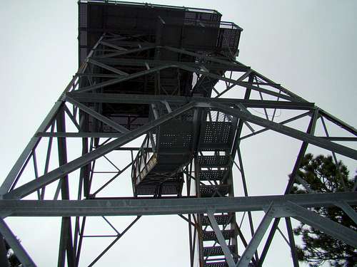 Looking Up at the Fire Tower