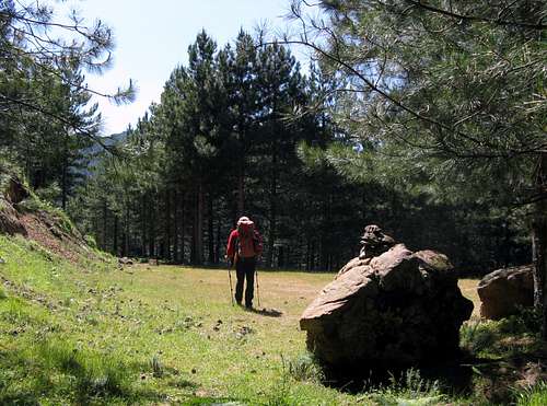 A glade on GR20 trekking