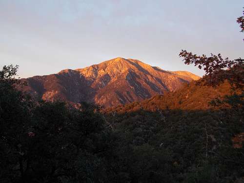 Alpenglow on San Bernardino Peak