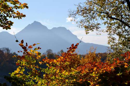 Autumn view to Hochstaufen and Zwiesel
