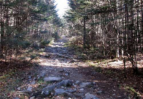 Mount Carleton Trail