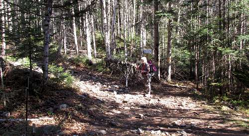 Mount Carleton Trail, Big Brook Intersection