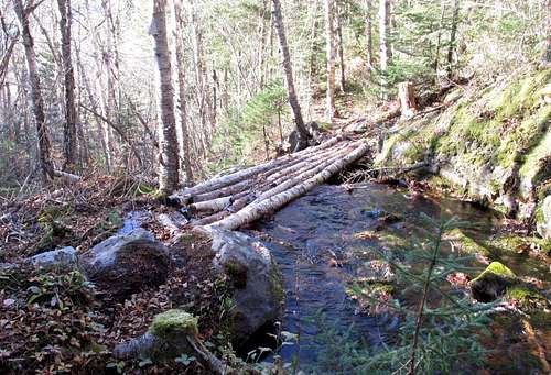 Mountain Carleton, log bridge