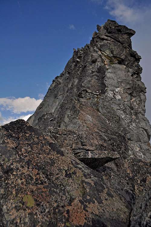 Summit of Forbidden Peak