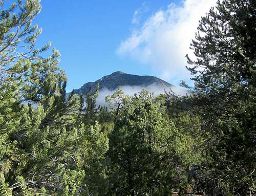 Silver Benchmark peak (NV)