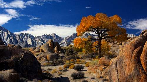 Autumn in Alabama Hills (with Mt Whitney behind), CA