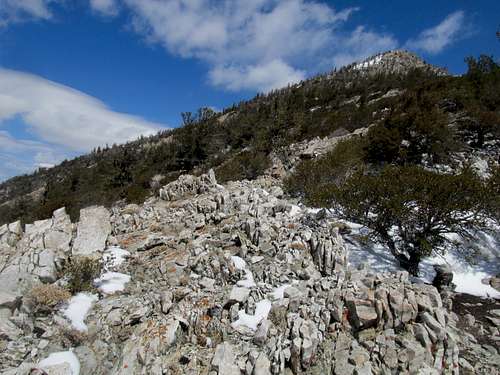 the crest between the two talus fields