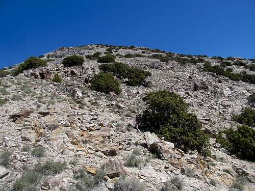 descending Desert's upper slopes