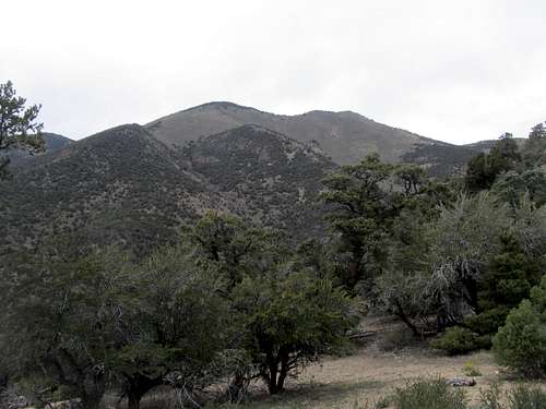tall summits of the Quinn Canyon Range