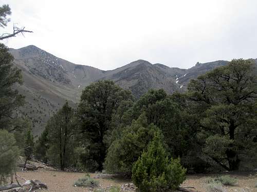 Quinn Canyon ridges