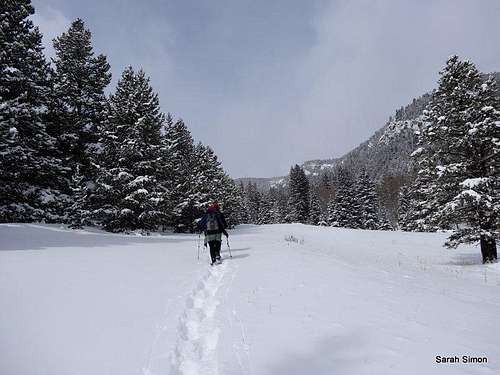 Santa Fe Mountain : Climbing, Hiking & Mountaineering : SummitPost