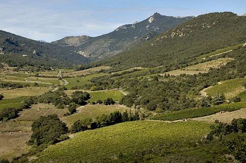 Pyrenees from Cucugnan