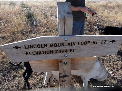Reaching the Lincoln Mountain Loop