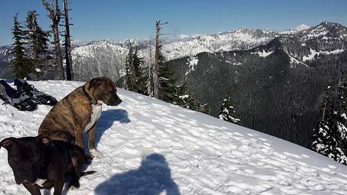 Dog Mountain (Lennox Creek/North Fork Snoqualmie) 11-20-2013