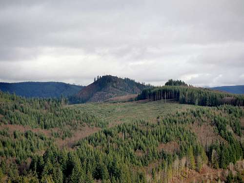 Towertop from the clearcut on Spiraltop