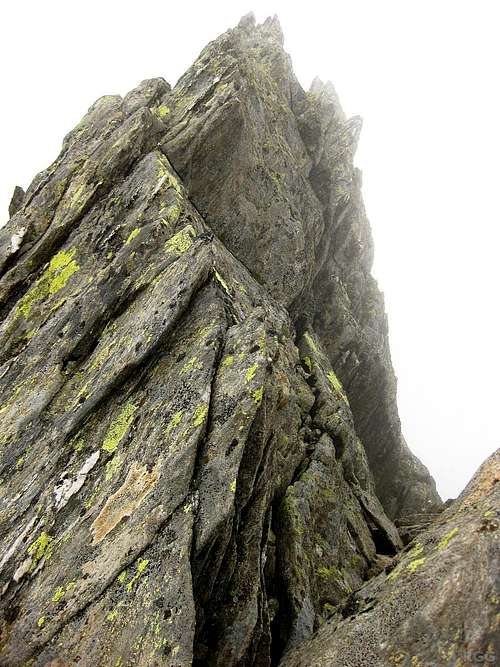 High on a jagged part of the Roteck east ridge