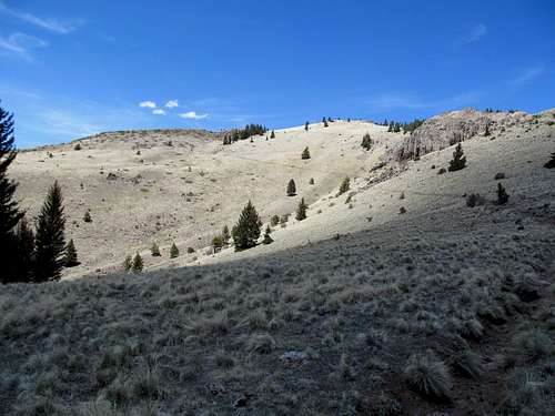 view of trail ascending to summit