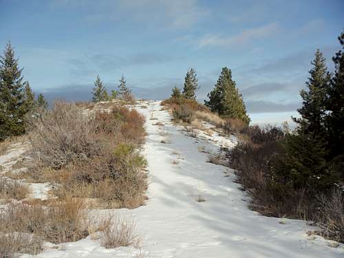 The summit of Beehive Mountain