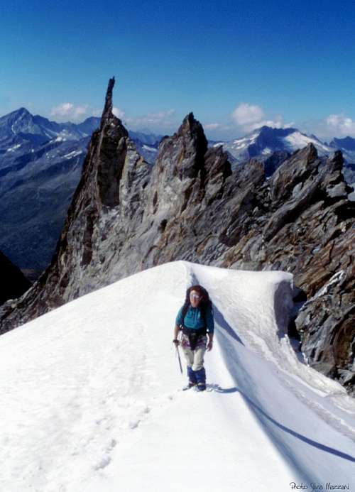 Picco dei Tre Signori - Dreiherrenspitze North-West Ridge : Climbing ...