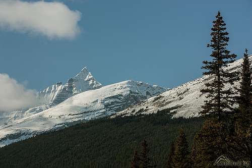 Whitehorn from Robson River valley