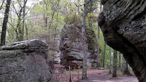 At the col between auxier ridge and courthouse rock amidst large island boulders