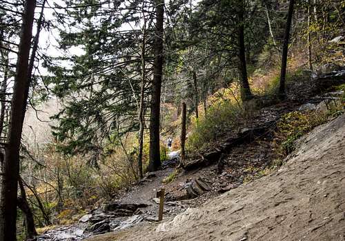 Hiker heading to Mount LeConte