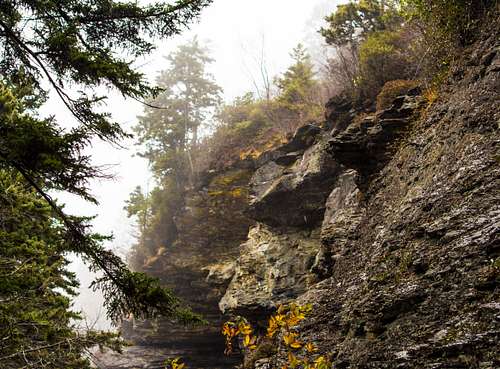 Peregrine Peak color and mist