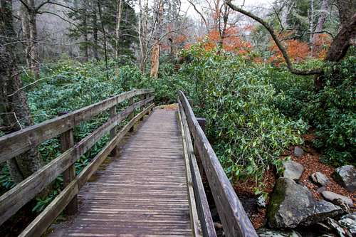 Trail head bridge across Walker Camp Prong