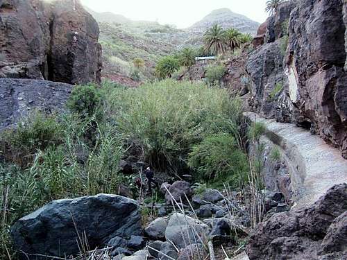 The lush canyon at Sorrueda