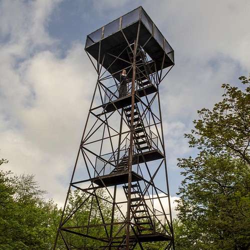 Observation Tower - Mount Davis