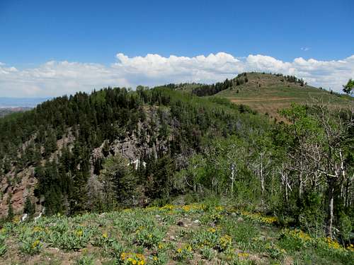 nearby White Pine Peak to the east
