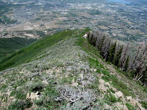looking down the steep West Ridge of the peak