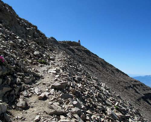 remaining trail to the summit