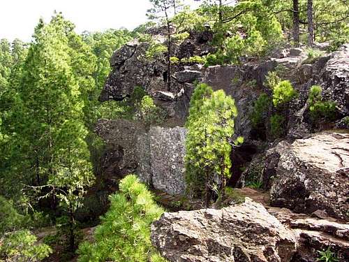 Cliffs at Tamadaba