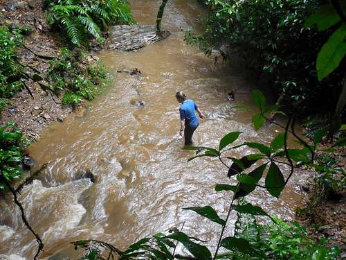 Stream Crossing