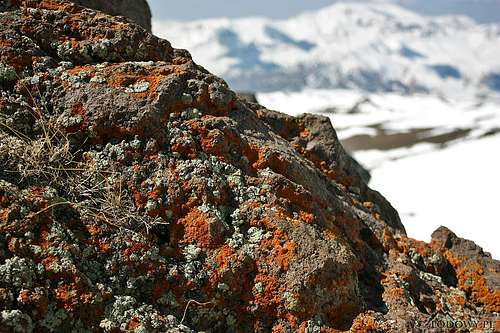 Damavand 2013. Volcanic rocks.