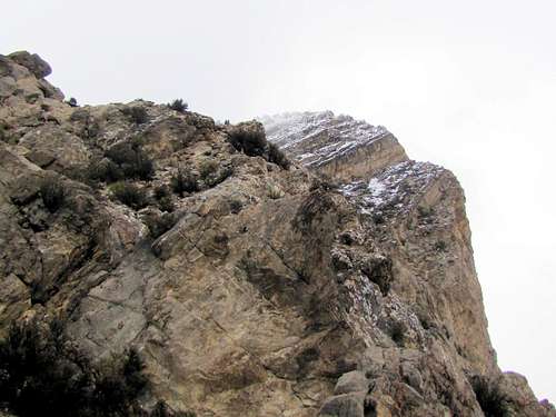 Summit of Turtlehead Peak
