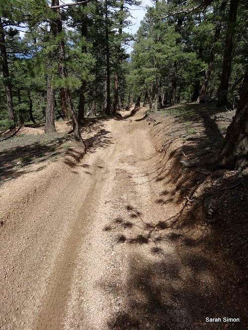Heavily eroded trail