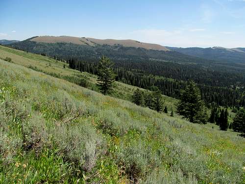 Wyoming foothills ne of McDougal