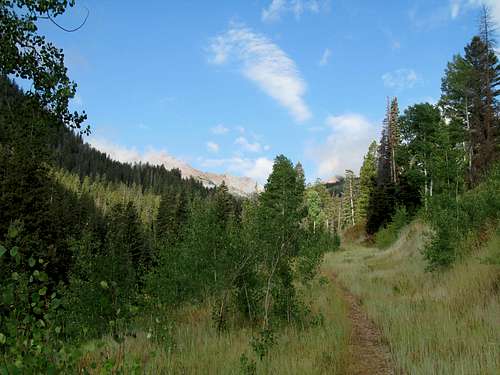 Kilgore Creek Trail