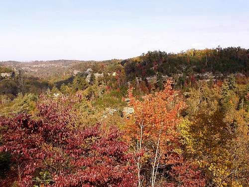Bright Red River Gorge