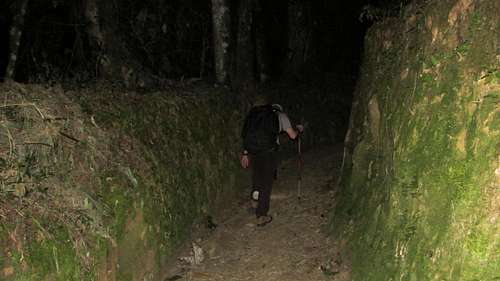 Chirripo Path
