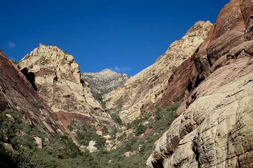 First Creek Canyon