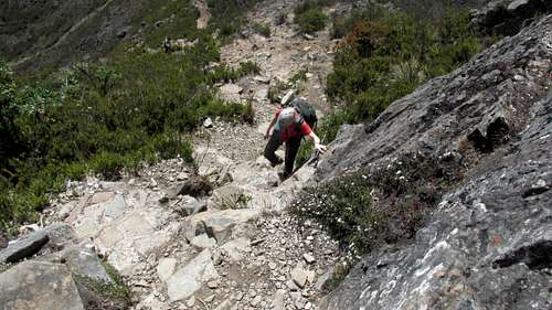 Chirripo Near Summit