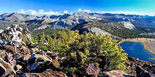 Yosemite high country from Gaylor Peak