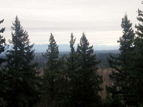 The foothills from Cedar (Echo) Mountain