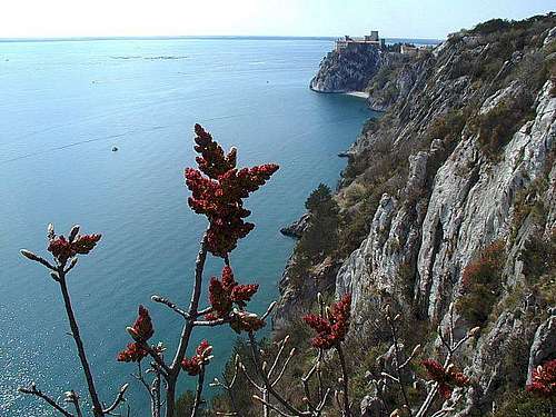 The cliffs of Devin from the...