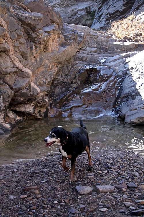 Chukar Trail