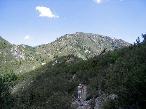 Miller Peak AZ