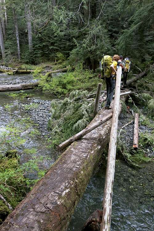Storm damaged log bridge